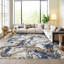 Area Rug-1695167908