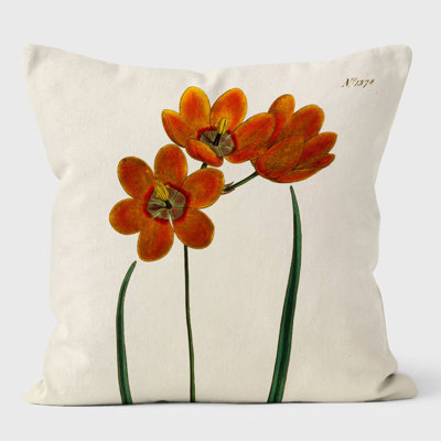 Orange Monadelpha - Botanical Cushion