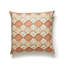 AKIRA PILLOW-42565009