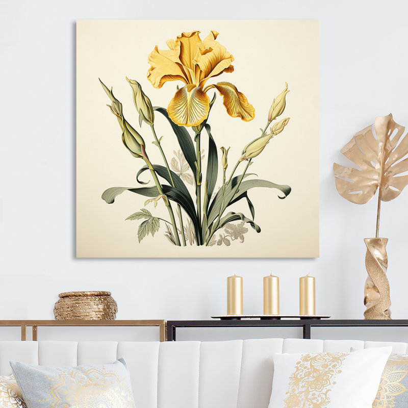 Iris jaune, illustration rétro I sur toile, Toile tendue, H 24 po x l 24 po x P 1 po