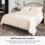 Ensembles de draps-housses 100% coton tissé en percale, 400 fils au pouce carré, certifié GOTS, lisse et évacuant l'humidité-101824501-101824495