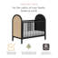 Bondi Cane 3-in-1 Convertible Crib with Toddler Bed Conversion Kit-612367771