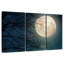  «Moonlight Tree»-839809139