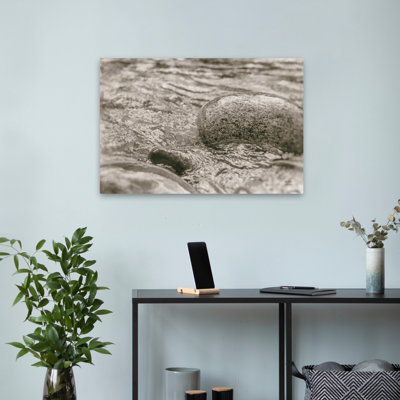Glide Sepia Contemporary Ocean Photography