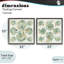 Ensemble de 2 cadres flottants à motif de coquillages salés, design par June Erica Vess-268264834-268264863
