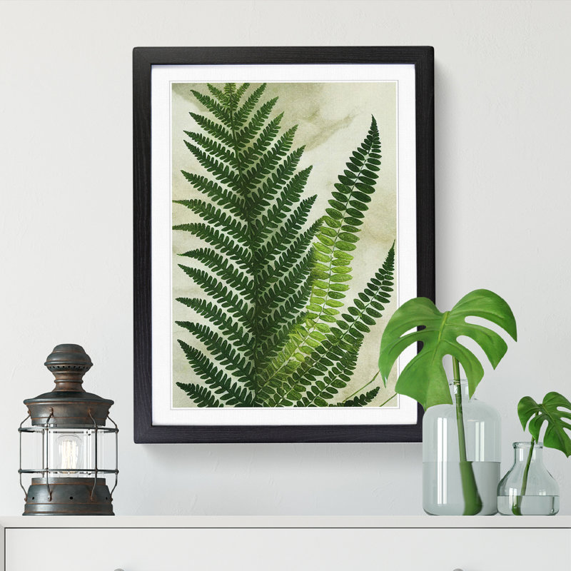 Adamczak Fern Leaf Decoupage Framed Print, 46cm H x 34cm W x 2cm D, Walnut