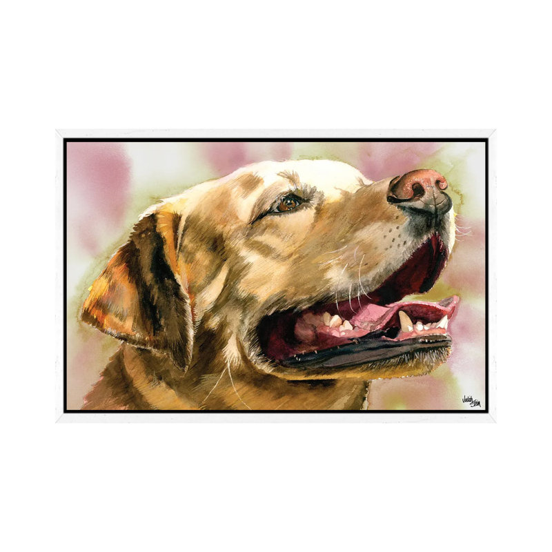 Yeller Feller - Yellow Labrador Retriever by Judith Stein - Gallery-Wrapped Canvas Giclée on Canvas, White Framed