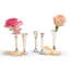 Ensemble de 5 vases à pied simple