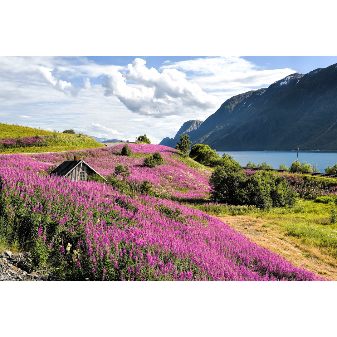 Sognefjord In Norwegen von RelaxFoto.de - Leinwanddrucke