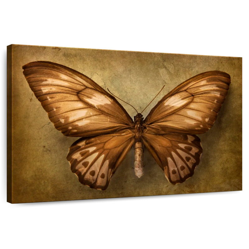 Papillon rétro Brampt, H 30 po x l 45 po