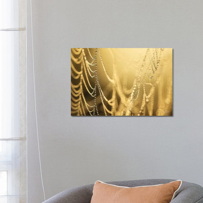 Nature's Jewels II by Martin Podt - Wrapped Canvas Print