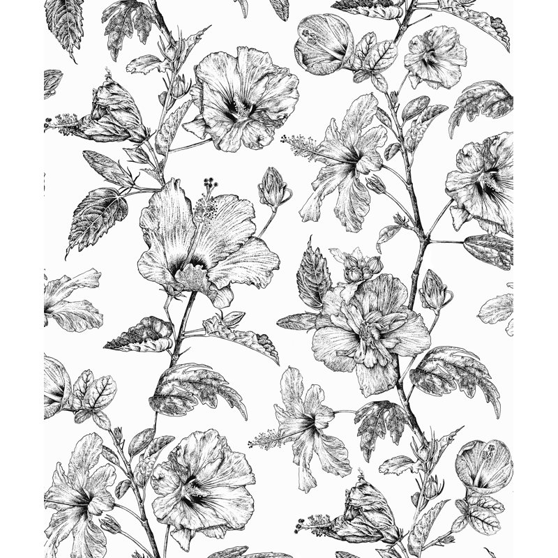 Hibiscus Haiti Flower Wallpaper, Snow Ebony