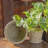 Harrami Handmade Ceramic Pot Planter-1495226636