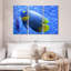 Angelfish bleu corail Brampt-108089548