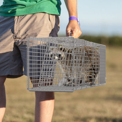Cage à animaux escamotable 35,43 x 11,02 x 12,60 po avec porte de sortie arrière, plateau d'appât et gants