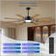 Ventilateur de plafond de 60 pouces avec lumières, télécommande, 8 pales en contreplaqué, moteur à courant continu réversible à 6 vitesses, 3CCT pour un éclairage polyvalent et une circulation d'air