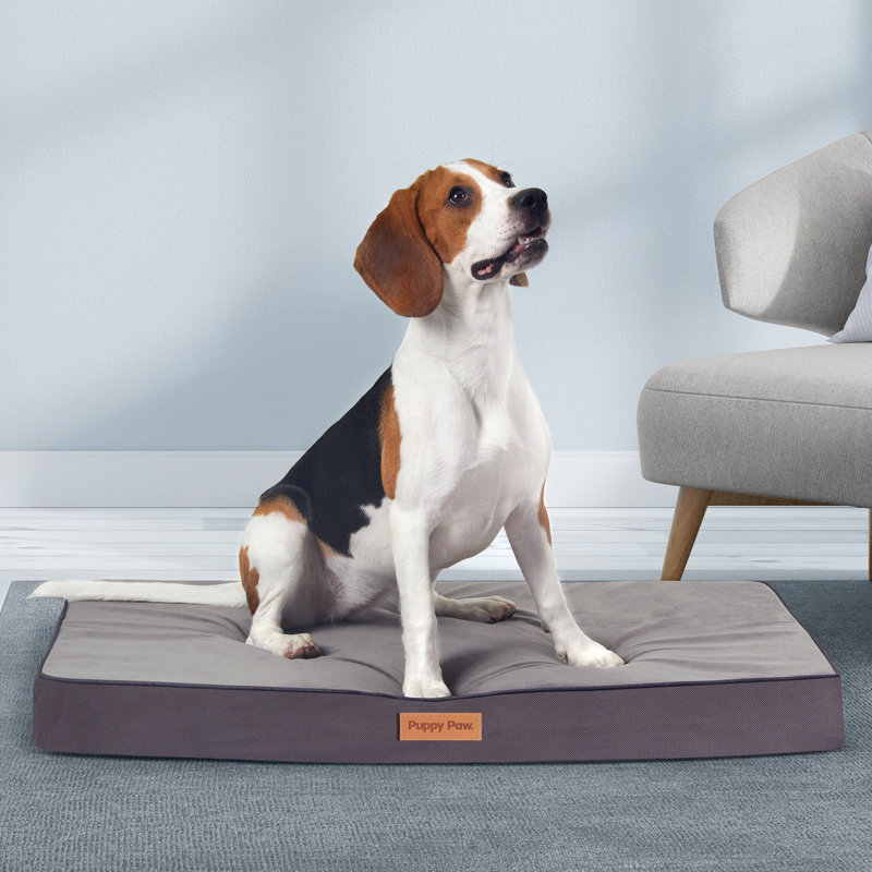 Coussin orthopédique pour chien en mousse viscoélastique classique, Grand (l 35 po x P 22 po x H 3 po)