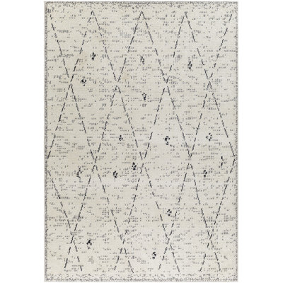 Geometric Indoor Rug
