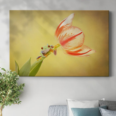 Hanging On VII-Gallery Wrapped Canvas