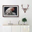 White Hen in Abstract - Picture Frame Graphic Art Print-55762366-55762365