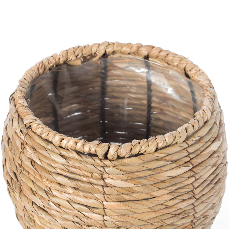 Mckee Pot Planter, 10.5" H x 8.5" W x 8.5" D