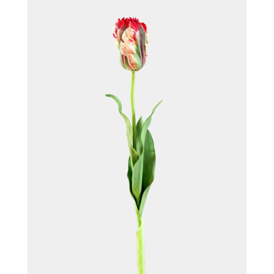 Perroquet citron tulipe Real Touch 27 po