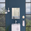 Armoire à miroir, trois tablettes internes, une tablette ouverte, armoire à deux portes