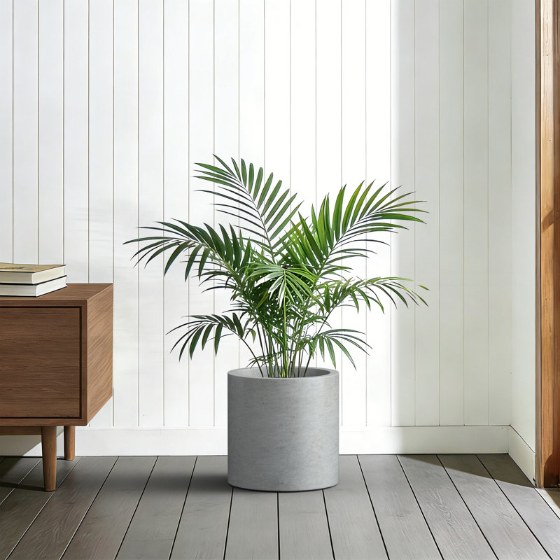 13 in. Medium Concrete Gray(Upgraded Interior) Cement Tall Round Planter / Pot Cylindrical Planter with Drainage Hole