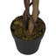 Faux Maple Tree Plant in Plastic Pot-1385740855