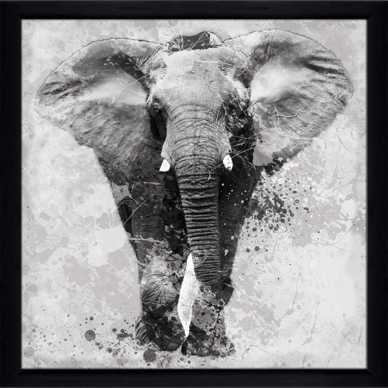 « fiers éléphant », impression encadrée, H 39,5 po x l 39,5 po x P 0,75 po