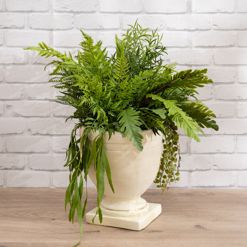Antavia 70 cm H Faux Foliage Plant in Cement Urn