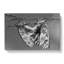 Two Butterflies - Wrapped Canvas-55361542