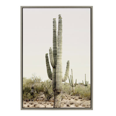 «Sunrise Cactus» par Amy Peterson, reproduction d'art sur toile encadrée