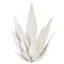 Agave 2 - Light Sconce-821969247