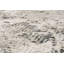 Tapis de zone ivoire Shaniya-857133992