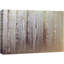 Aspen Birch Foggy Autumn White Birch Tree Forest Nature Landscape Technique mixte sur toile-94423252-94423255