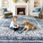 Oriental Inspired Vintage Machine Washable Area Rug with Non-Slip Backing for High Traffic Area, Living Room, Bed Room, Kitchen, Hallway, Entryway Rug-1123058131