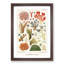 Great Barrier Reef Corals VII by W. Saville-Kent - Picture Frame Painting Print-55575318-55575319