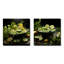 «Citrus Soup Symphony Greens», 2 pièces-1190417994-1190417996