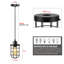 1 - Light Black Caged Pendant-958586954