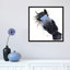 Apple Dapple Darwin by Shirley Macarthur - Floater Frame Print on Canvas-1884002178-1884002187