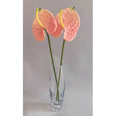 ANTHURIUM 20''