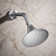 Forté 1.75 GPM Single-Function Showerhead with Katalyst(R) Air-Induction Technology