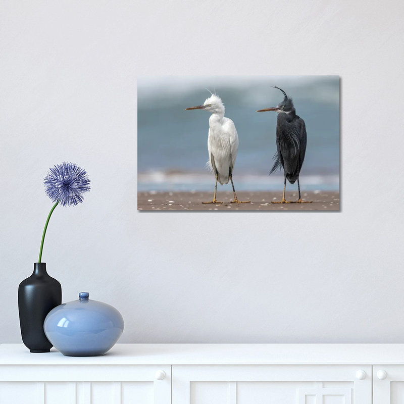 Untitled 1 Piece Wrapped Canvas Wall Art, 30.48cm H x 45.72cm W