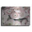 Art mural en métal luxueux «Soft Pink Ranunculus» par Susan Ball, 36 po x 24 po-101684476