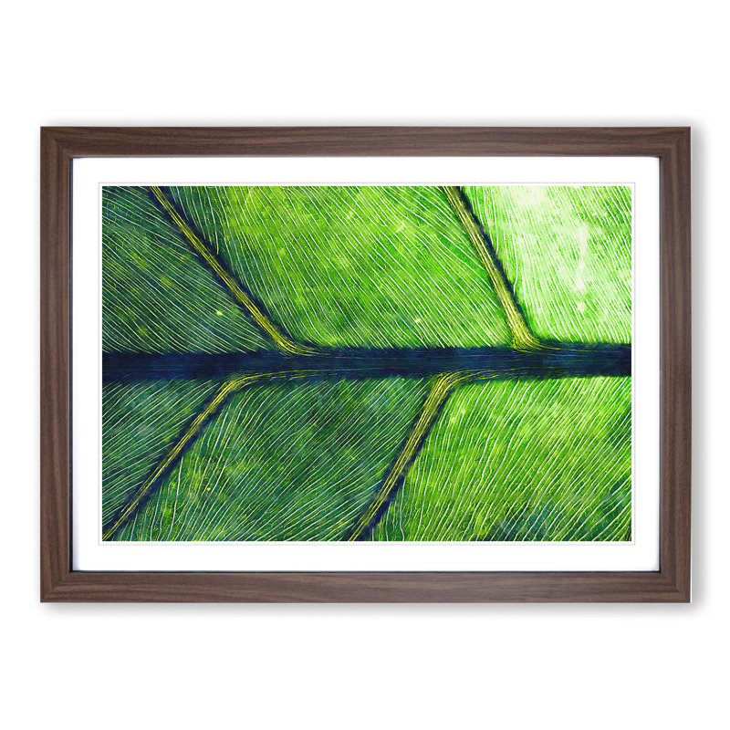 Leaf Detail - Picture Frame Painting, 48cm H x 65cm W x 2cm D, Walnut Framed