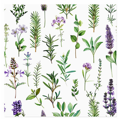 «Botanical Plants & Herbs V Cottage», reproduction d'art non encadrée