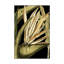 « tranquil tropical leaves iii », reproduction d’impression sur toile tendue-33418329