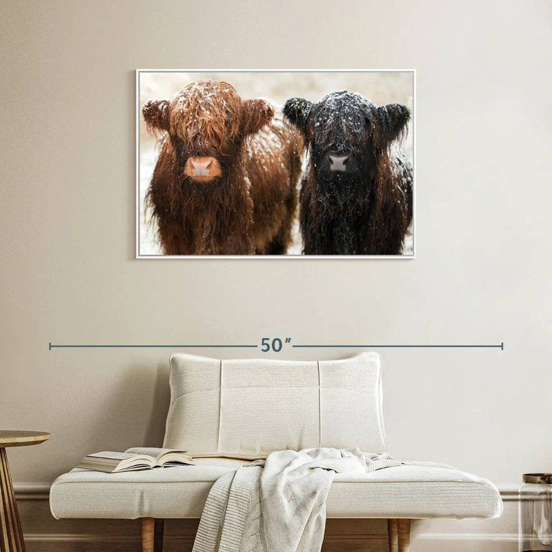Poilu Highland Cows, Cadre flottant blanc, 37 po x 25 po