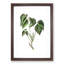 Poison Ivy Illustration - Picture Frame Painting Print-55601405-55601408